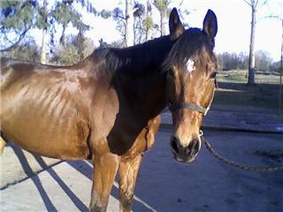 mon loulou je t'aime!!